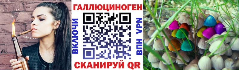 Купить где  Юрга  Псилоцибиновые грибы мицелий 